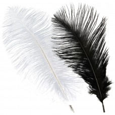 Feather Ostrich Tail